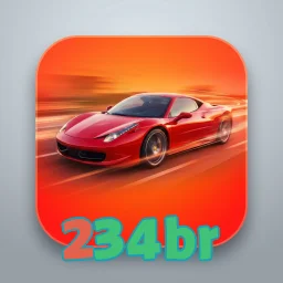 234br